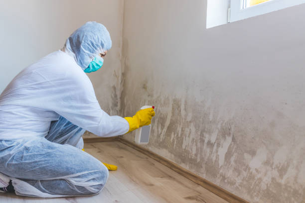 Hvac And Air Duct Mold Remediation inspection of HVAC system in Alpine