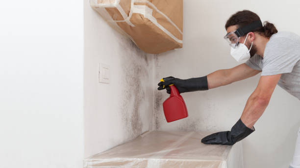 Attic Mold Remediation treatment on roof deck in Alpine